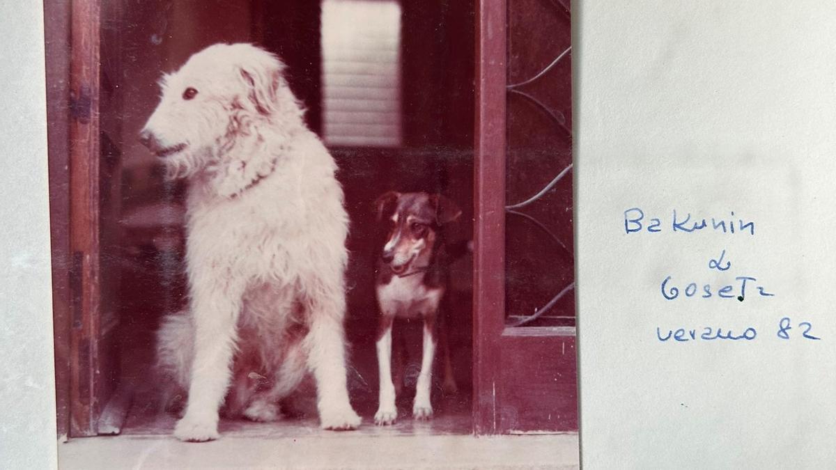 Bakunin, el perro de Pilar Eyre