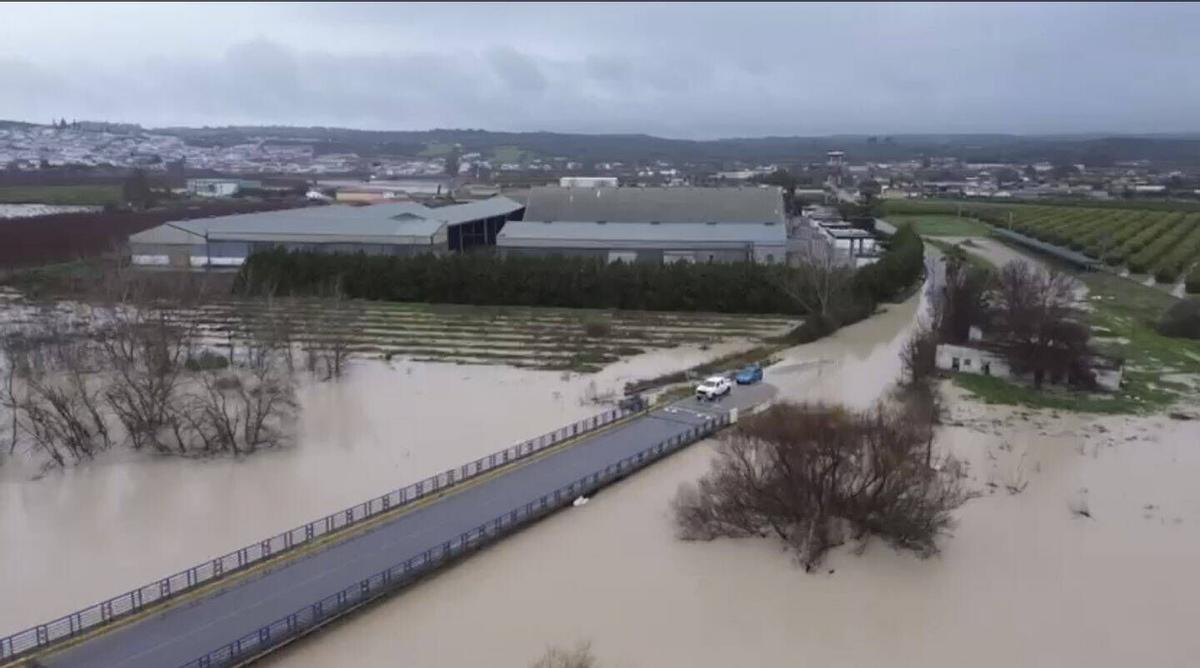 Crecida del Guadalquivir a la altura del puente de la Algodonera en Almodóvar