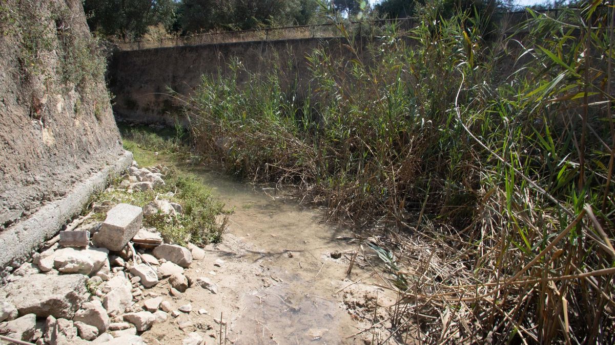 ValÃ¨ncia. LâAlcÃºdia de Crespins. CTR . Nacimiento del Riu Nou sin agua
