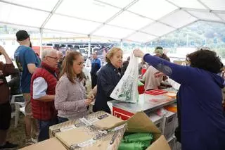 Las fiestas toman los barrios de Oviedo a las puertas del verano.