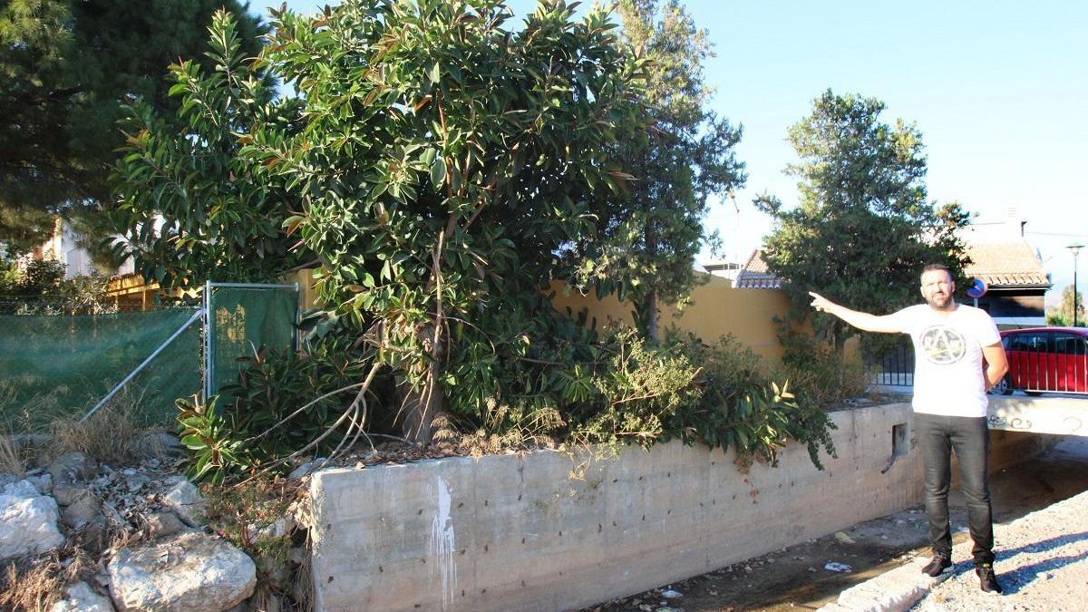 Ernesto Díaz, en 2017, delante del ficus que se encontraba en terrenos de la Junta, entre el muro de la casa familiar y el arroyo de Pocopringue, en El Tarajal.