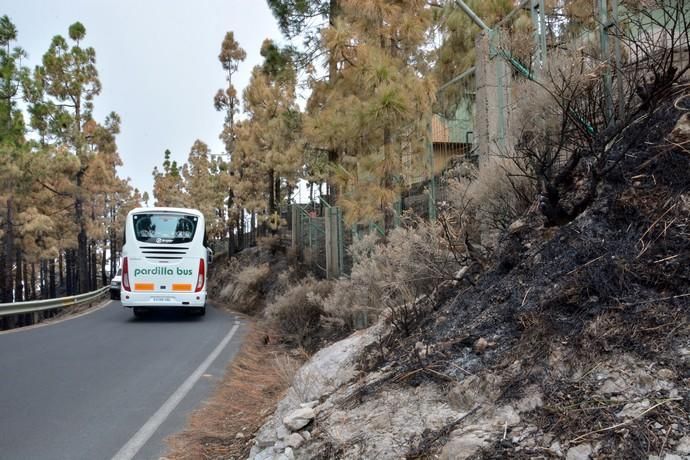 INCENDIO CUMBRE