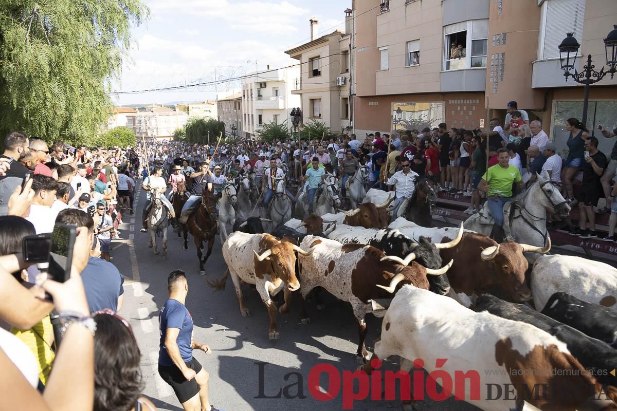 El segundo encierro de las Fiestas de Moratalla se salda con un herido