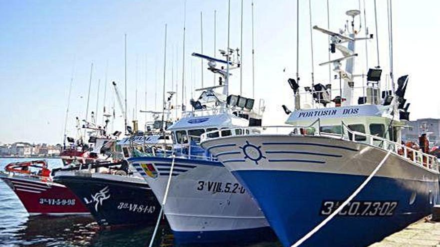 Parte de la flota del cerco amarrada en el puerto de A Coruña.