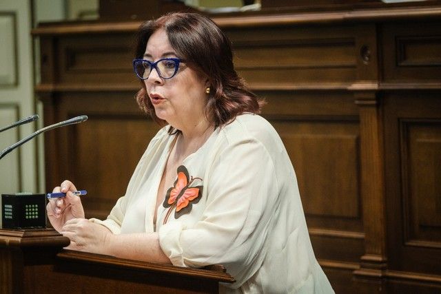Segunda jornada del pleno en el Parlamento de Canarias, 27/04/2022