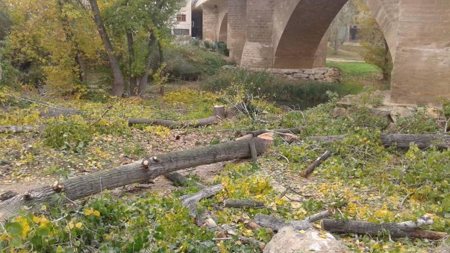 Tala en la ribera del guadalope