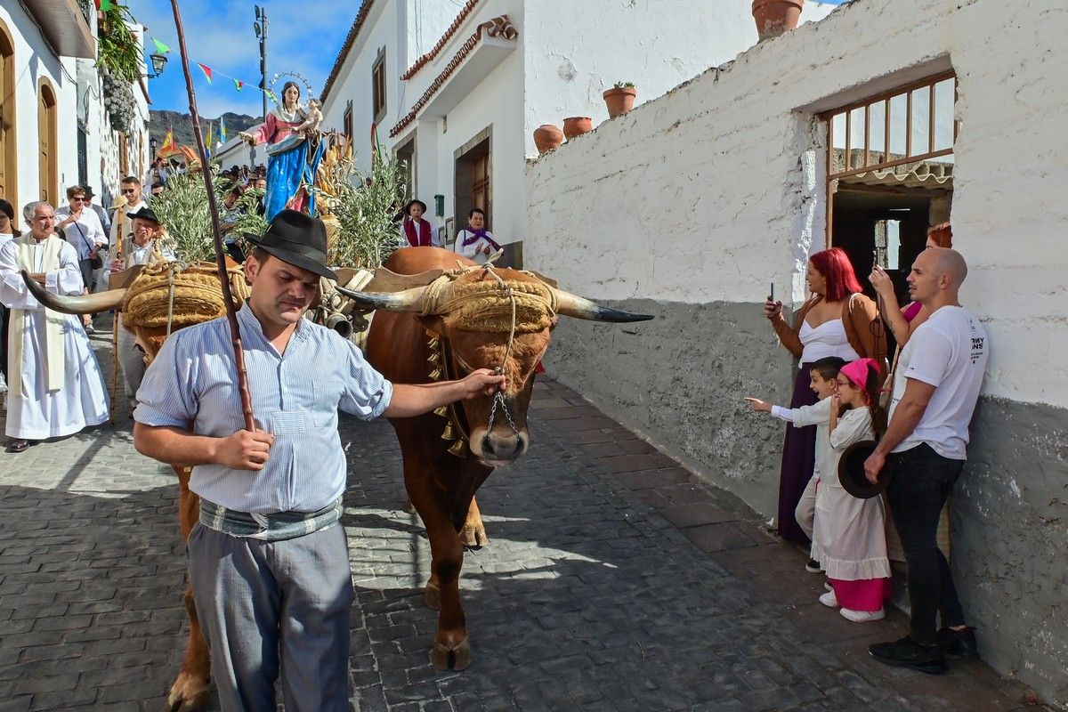 Romería Labradores 2022