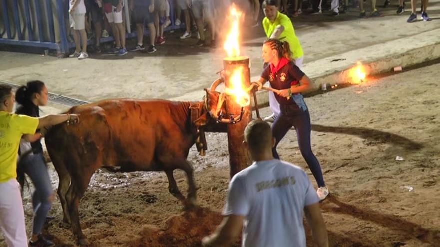 Una cuadrilla de emboladoras se estrena en la Nit Taurina de la Vall