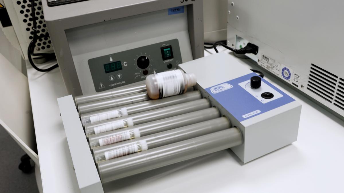 Una prueba PCR para la detección de viruela del mono.