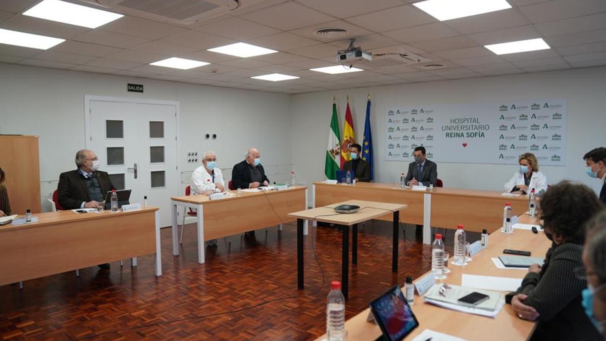 Vista de la reunión del comité de expertos celebrada en Córdoba.