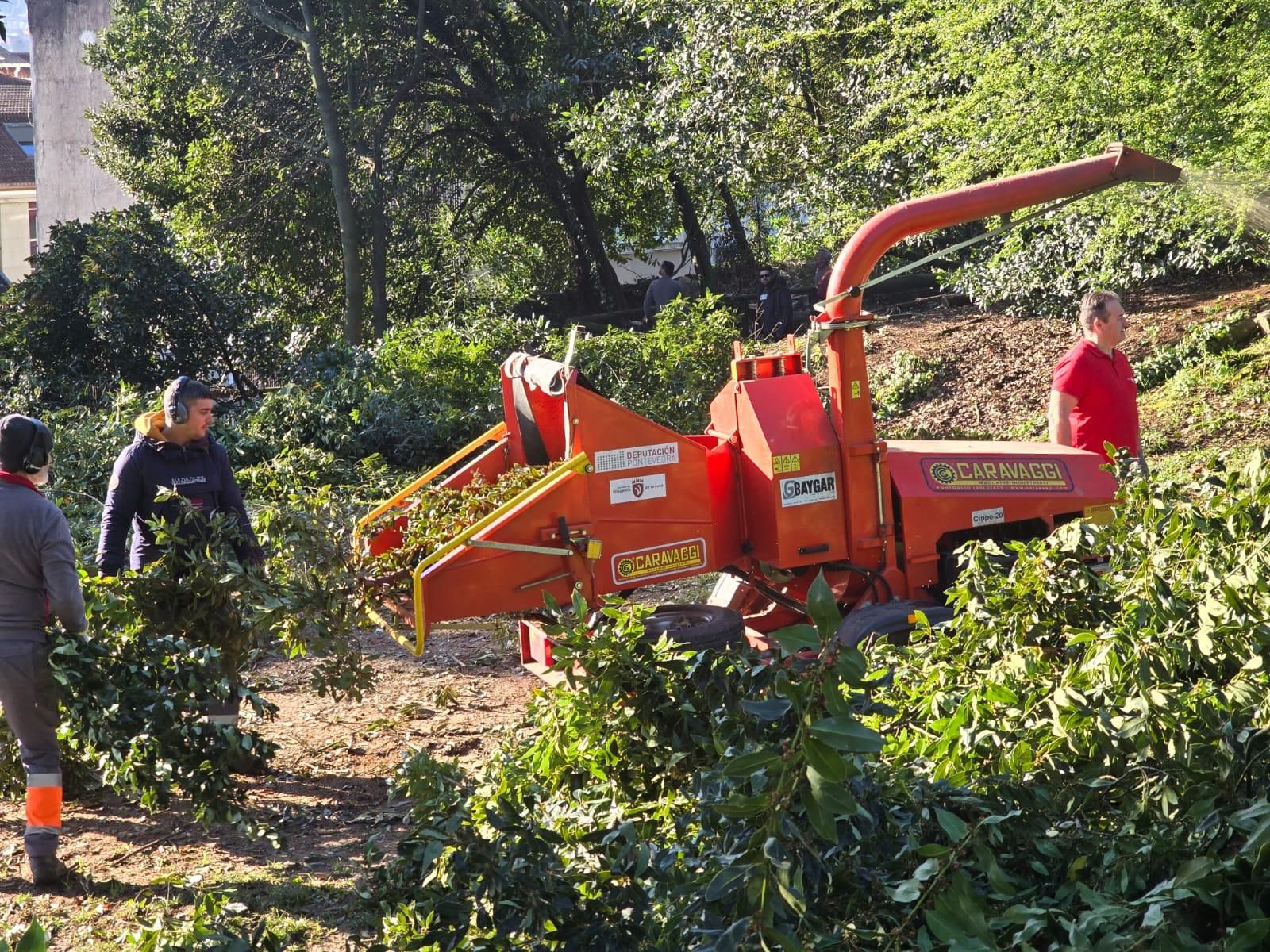 Los operarios municipales retomaron la tala de seguridad en el Parque Botánico Enrique Valdés Bermejo.