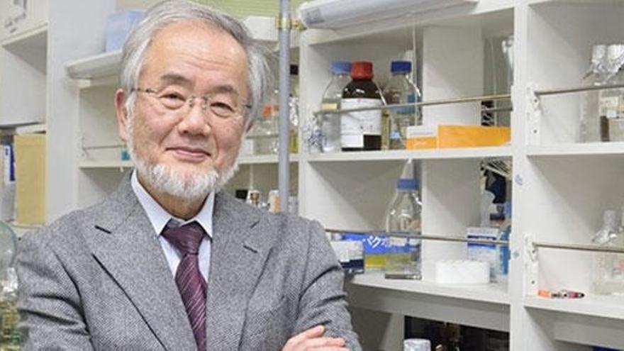 El japonés Yoshinori Ohsumi, Premio Nobel de Medicina.