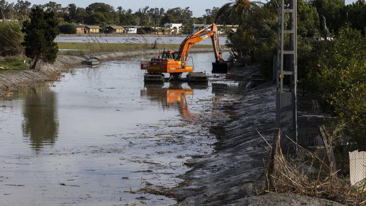 Trabajos de mantenimiento de l'Albufera con la presencia de lodos en El Palmar en octubre.