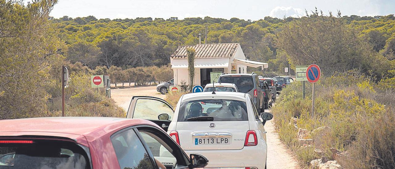 Cola de vehículos para acceder al aparcamiento de es Trenc, que ha reducido su capacidad.