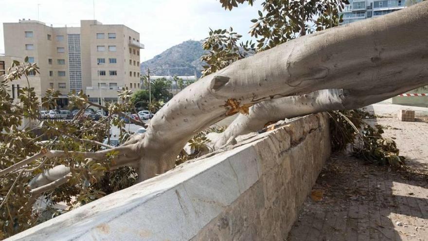 Finaliza la restauración del pretil de la Muralla de Carlos III