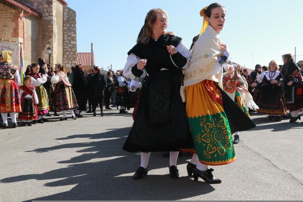 Día del CIT (2018) en Montamarta.