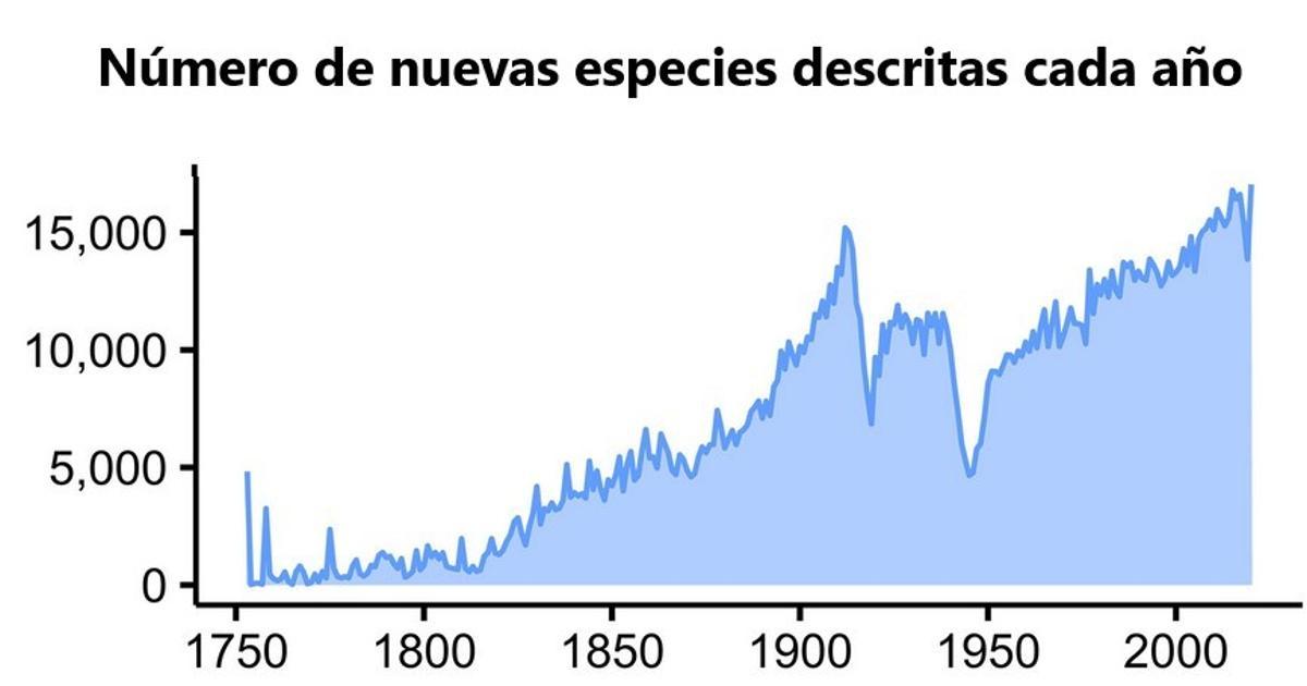 Número de nuevas especies descritas cada año
