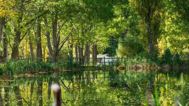 La vía verde más larga de España que baja del interior de Teruel al Mediterráneo