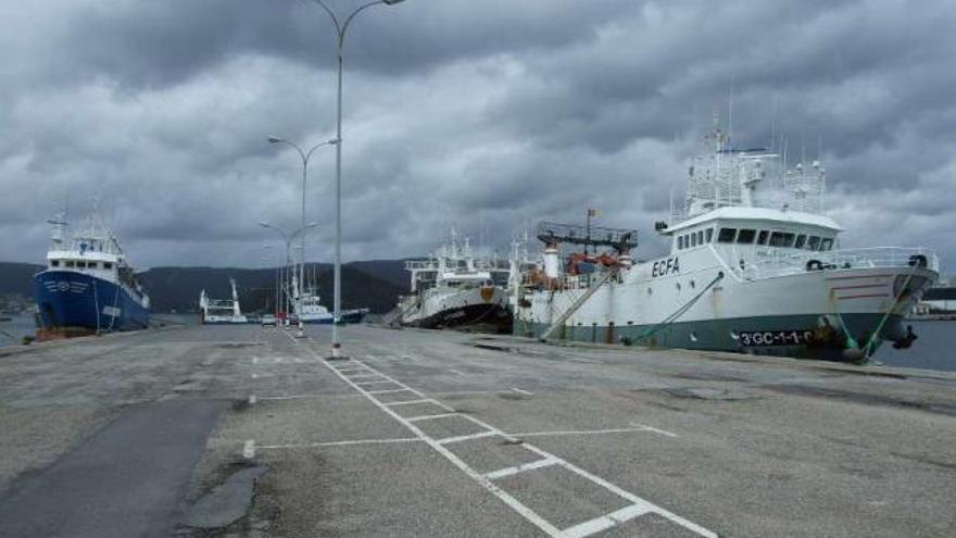 Flota cefalopodera amarrada en un puerto gallego. / julio santos pena