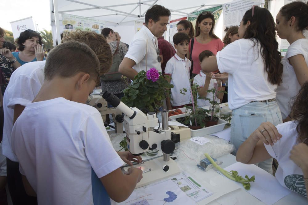 Día de la Ciencia en Viveros