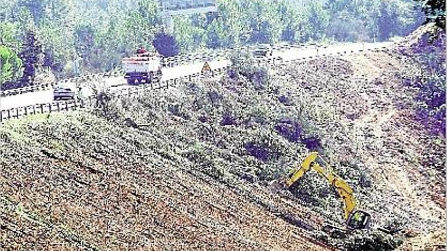 Una màquina estassant arbres i aplanant la zona a tocar l&#039;Eix Transversal a l&#039;alçada de Santa Coloma.