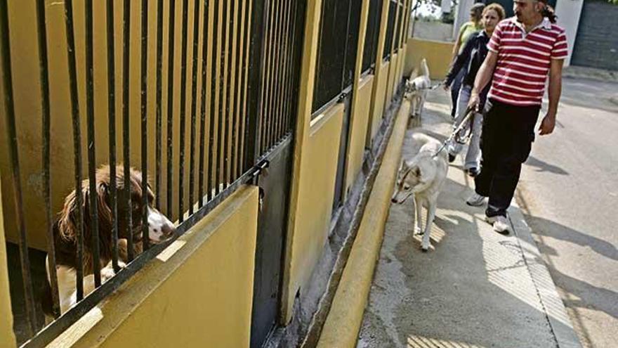 Imagen de archivo del centro canino de Son Reus.