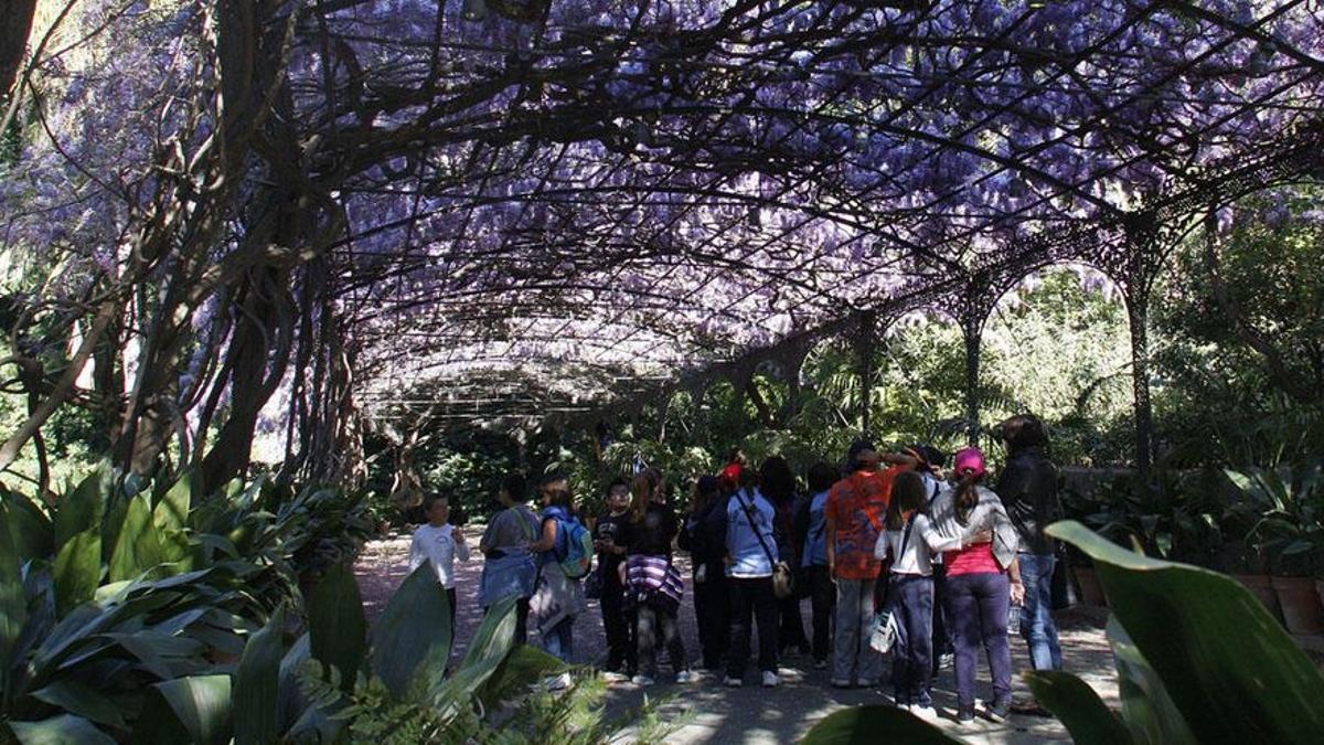 Escolares en el Jardín Botánico de la Concepción