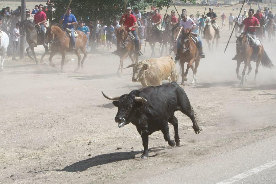 Fiestas en Zamora: Segudos espantes de Fuentesaúco