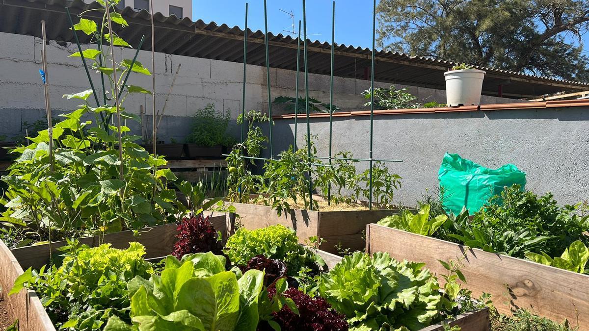 El Huerto Urbano El Toscal apuesta por la separación orgánica.