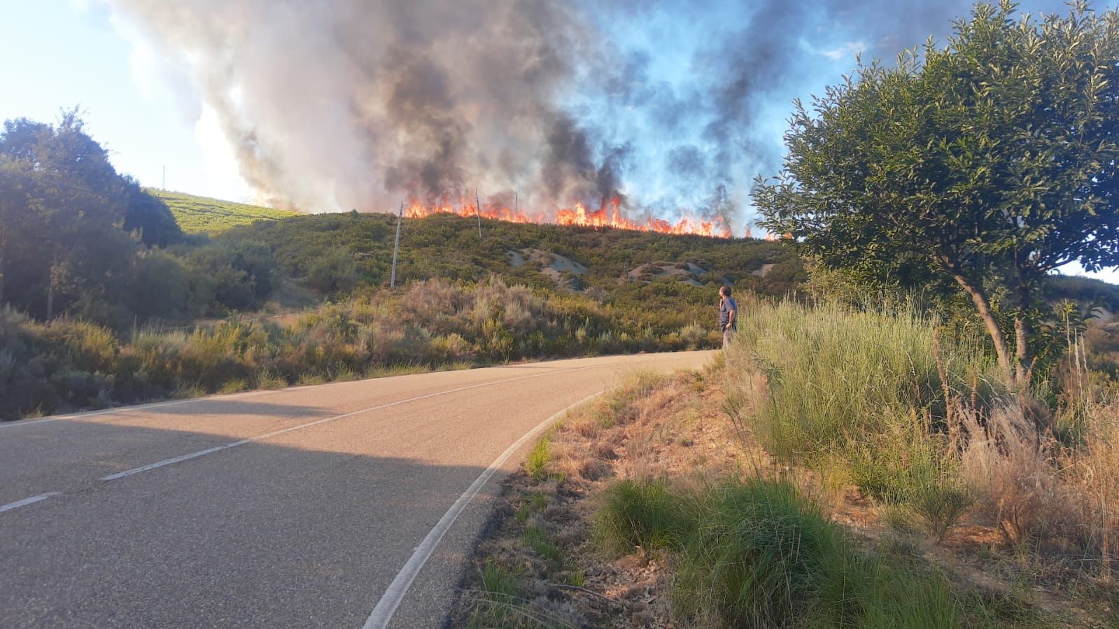 GALERÍA | El incendio en Pedralba de la Pradería, en imágenes