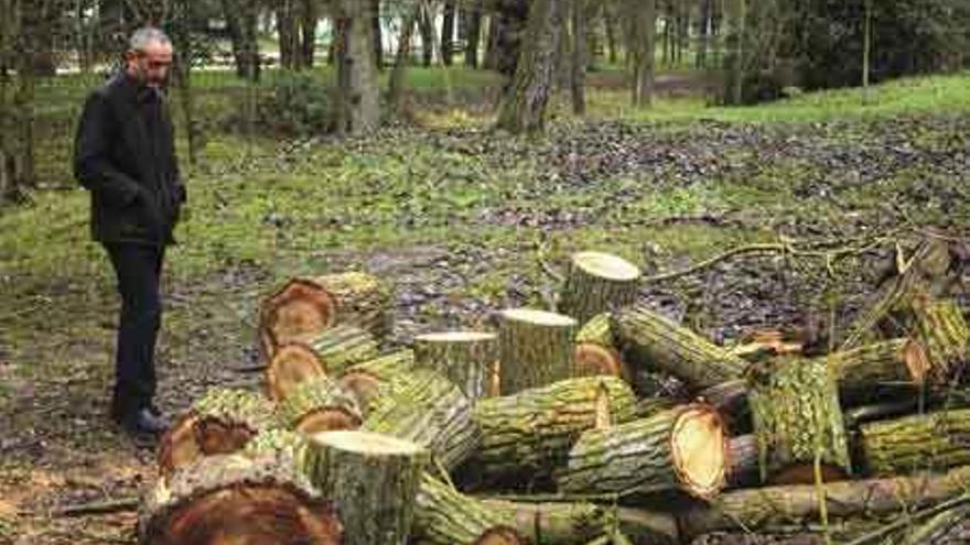 El concejal de Medio Ambiente, Romualdo Fernández, supervisa las labores realizadas en Valorio.