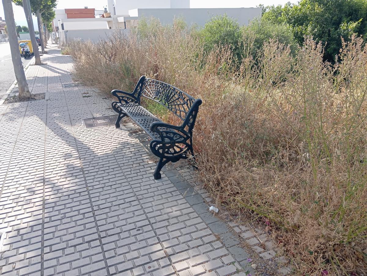 Una calle de Ciudad Jardín en Plasencia, pendiente de desbrozar.