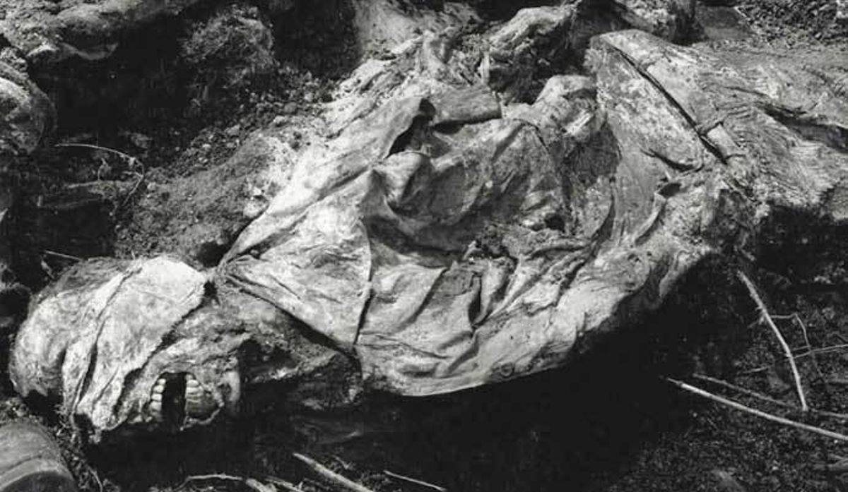 Mladic, condenado a cadena perpetua por genocidio