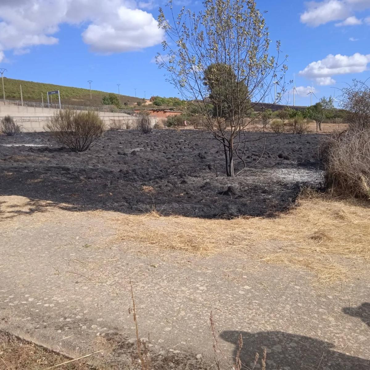 Terrenos calcinados por el nuevo incendio originado en Abejera.