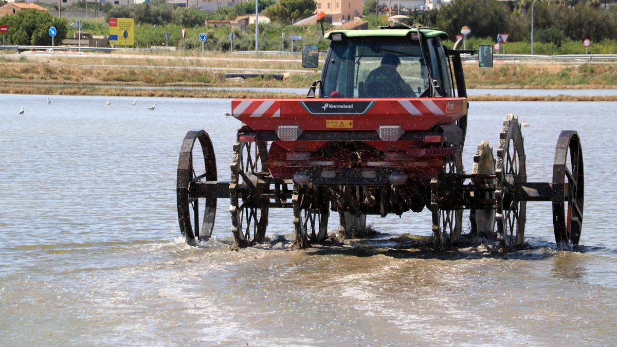 Un tractor escampa la llavor d'arròs en un camp del delta de l'Ebre a la Ràpita