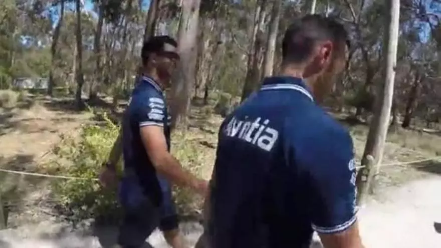 Héctor Barberá disfruta con los koalas