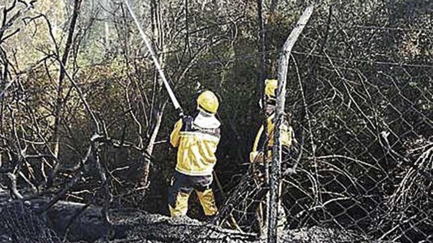 Equipos de extinción, en Alcúdia.