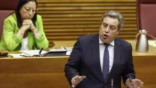 Vox pide expulsar de la Comunitat a «todos los inmigrantes ilegales»