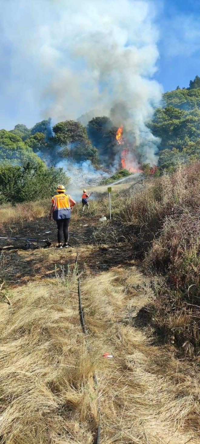 Incendio forestal en Valleseco (30/06/21)