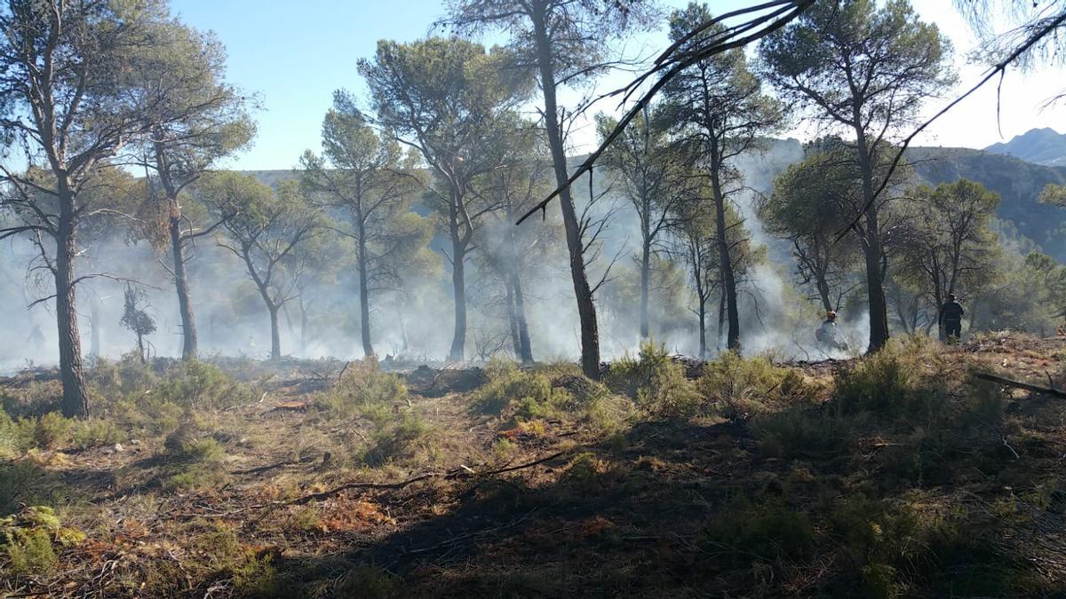 Los bomberos controlan un incendio de matorrales en el corazón de La Carrasqueta