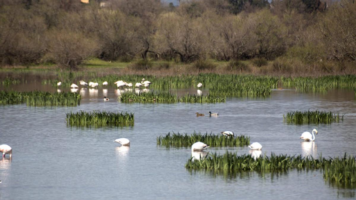 L'estany de Vilaüt en una imatge d'arxiu.