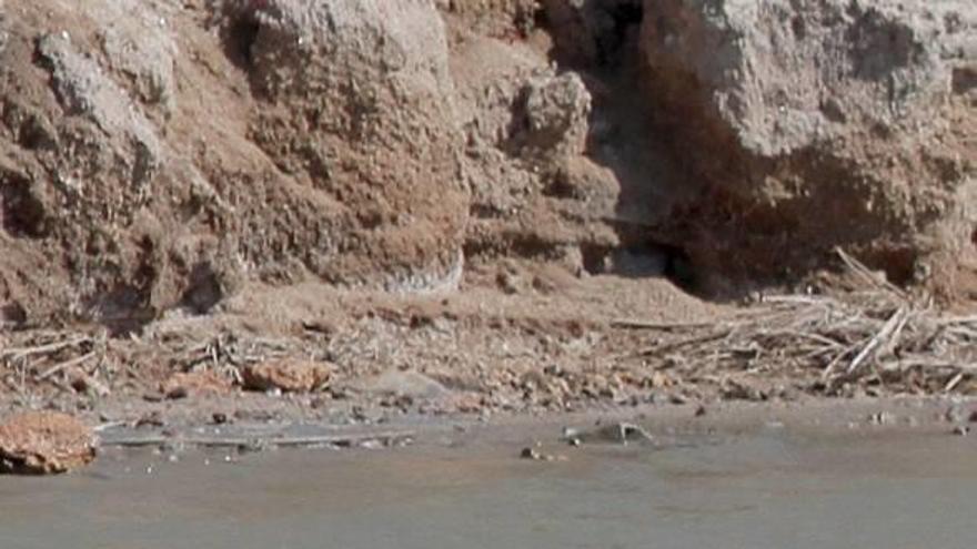 La vida vuelve  al parque de las Salinas de San Pedro