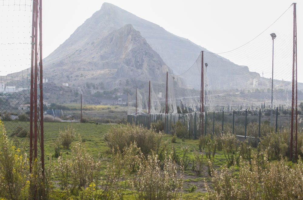 Una jungla en Fontcalent