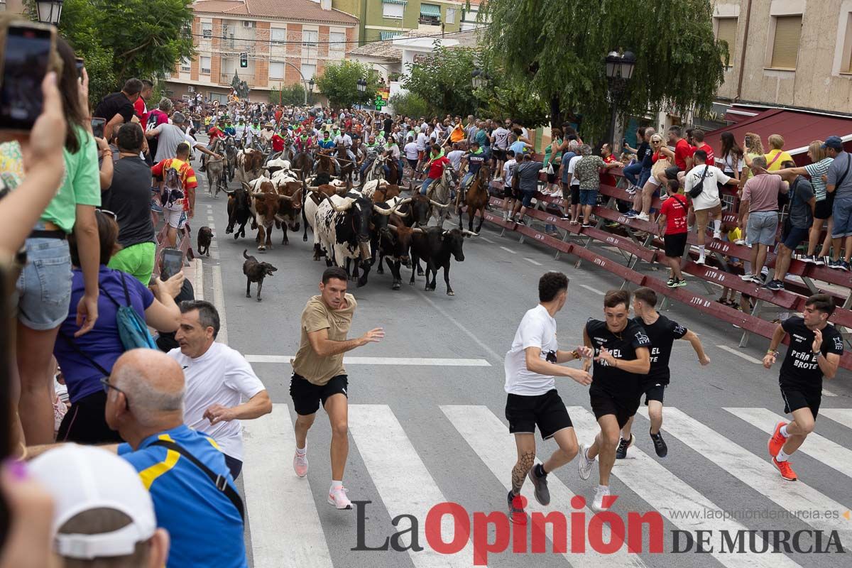 Cuarto encierro en las Fiestas de Moratalla