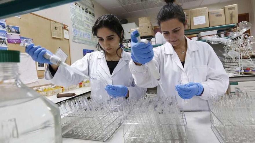 Investigadoras en el laboratorio del máster en biotecnología avanzada de las Universidades coruñesa y viguesa.