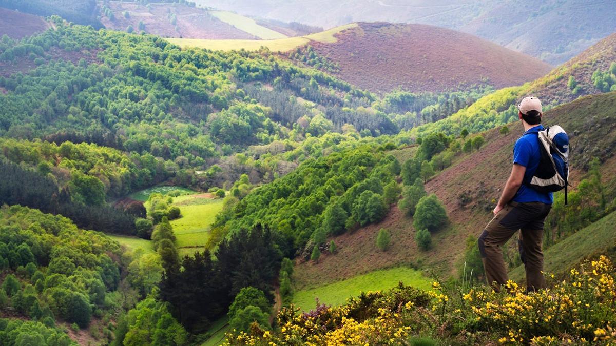 Galicia: una celebración al final del Camino de Santiago