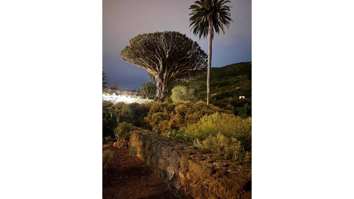 “Días de Finados”, la apuesta cultural del Parque del Drago.