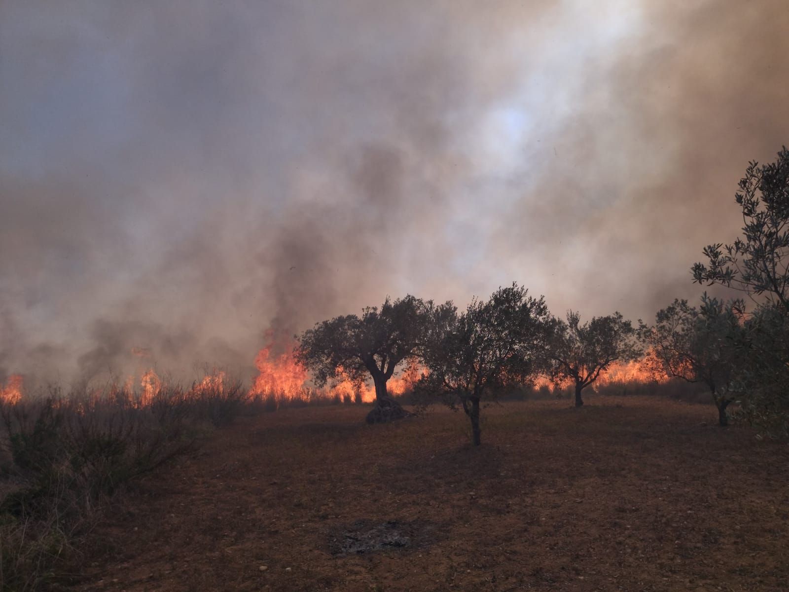 Las imágenes del virulento incendio de Xàbia