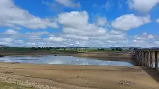 La falta de agua provoca la muerte de cientos de peces en Sierra Boyera