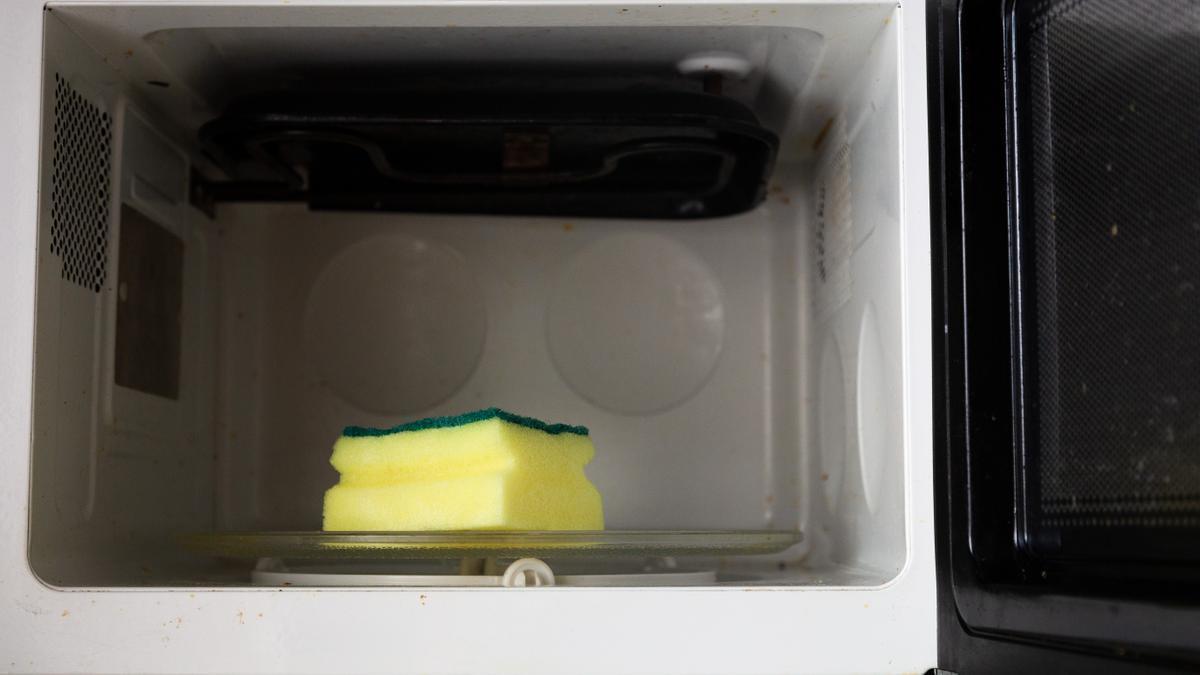 El truco de la esponja en el microondas: lo deja impoluto en segundos.